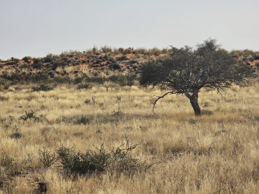 Commercial Property for Sale in Kenhardt Northern Cape